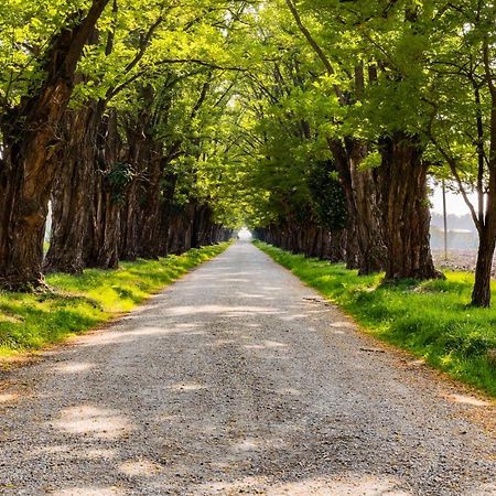 Agriturismo Le Corti Della Gualdana Villa Voghera Dış mekan fotoğraf