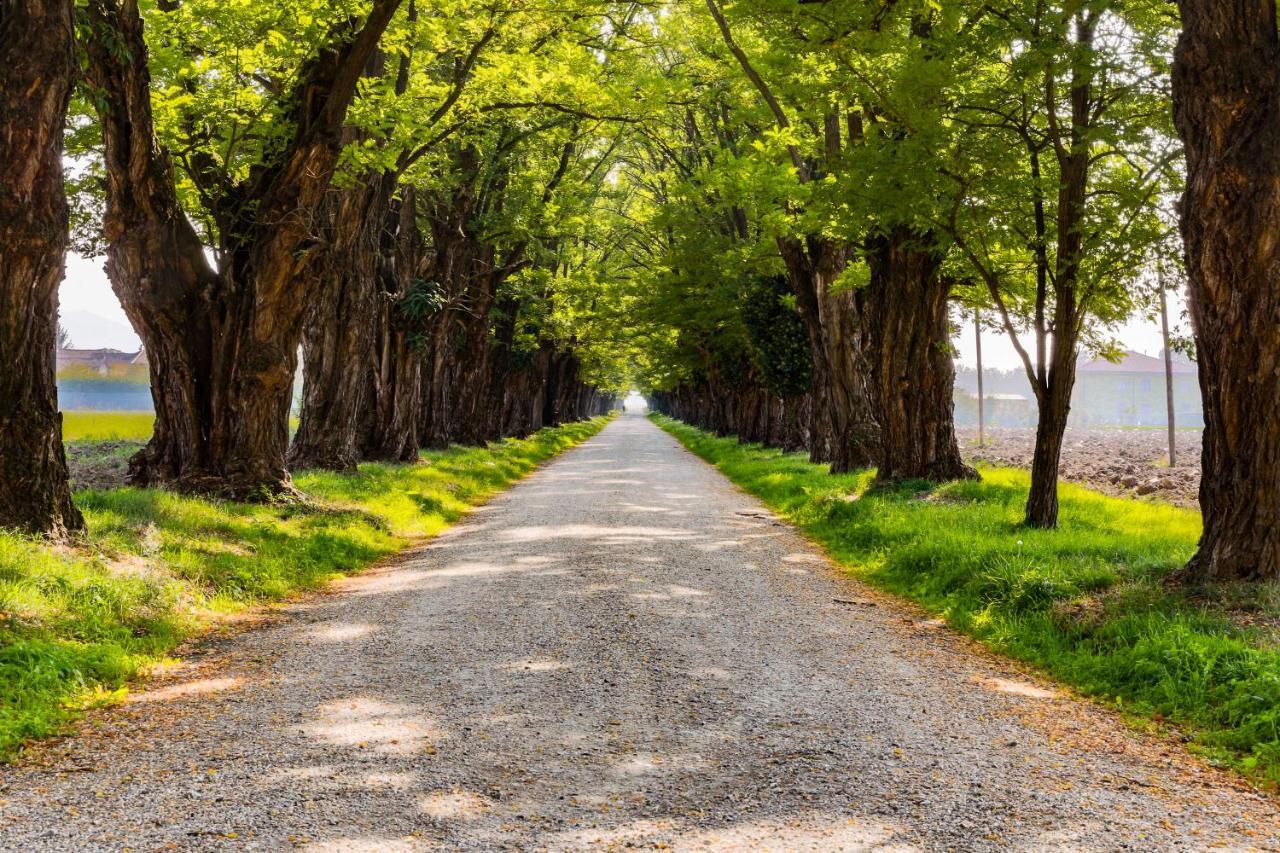 Agriturismo Le Corti Della Gualdana Villa Voghera Dış mekan fotoğraf