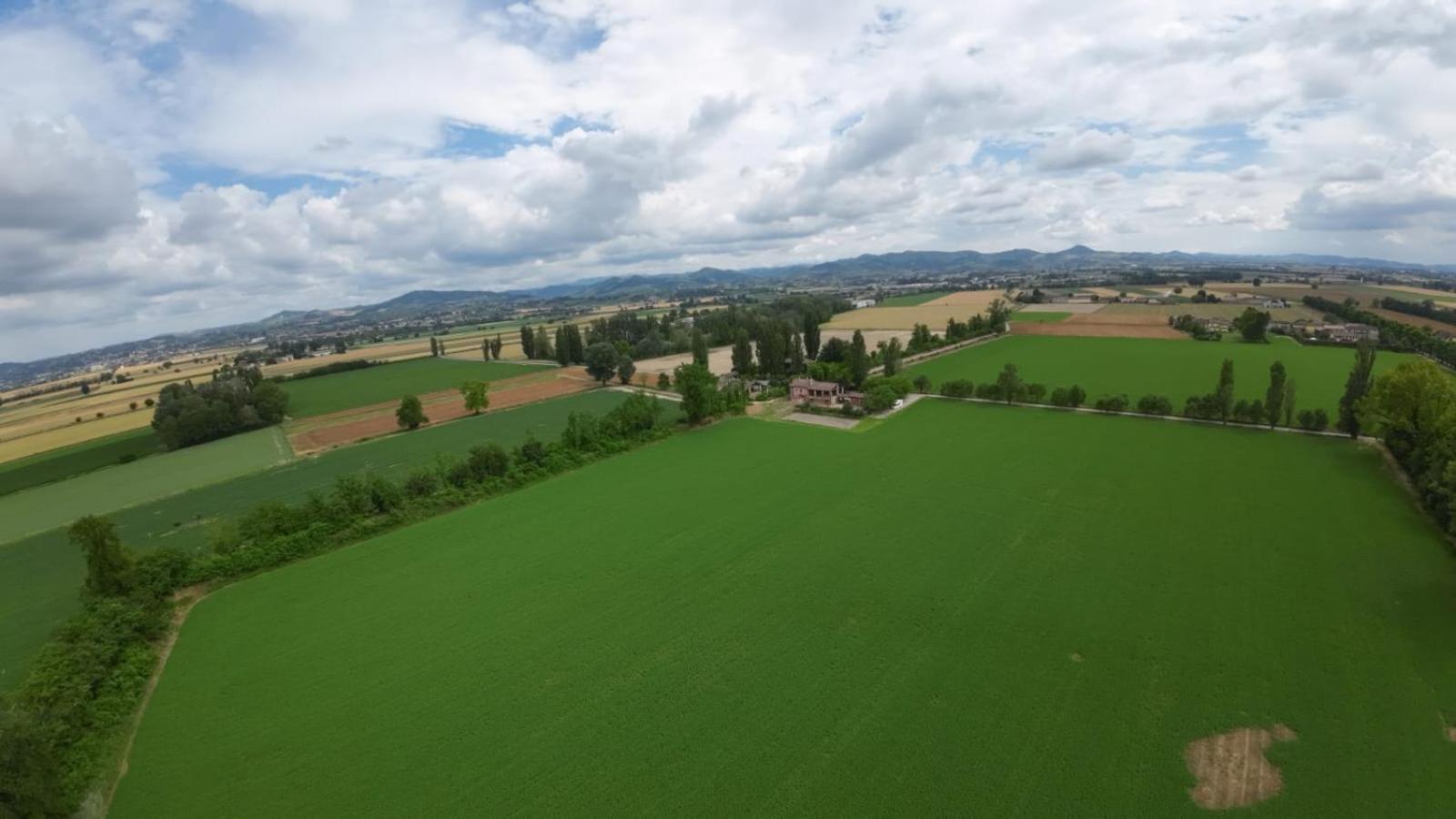 Agriturismo Le Corti Della Gualdana Voghera Dış mekan fotoğraf